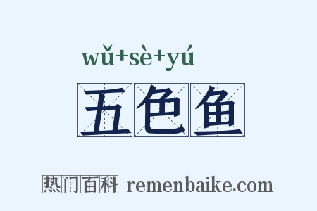 五色鱼是什么意思的图片